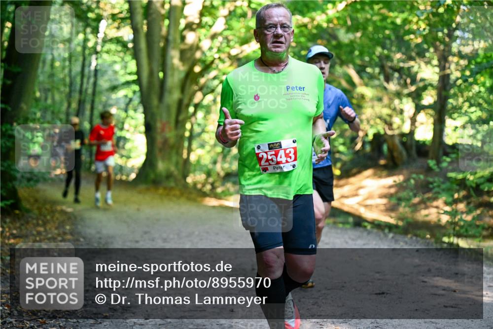 28.09.2025 - 33. Volkslauf durch das schöne Alstertal Dr. Thomas Lammeyer http://msf.ph/oto/8955970 28.09.2025 10:43:23 Laufen 20, 2543, 0 meine-sportfotos.de