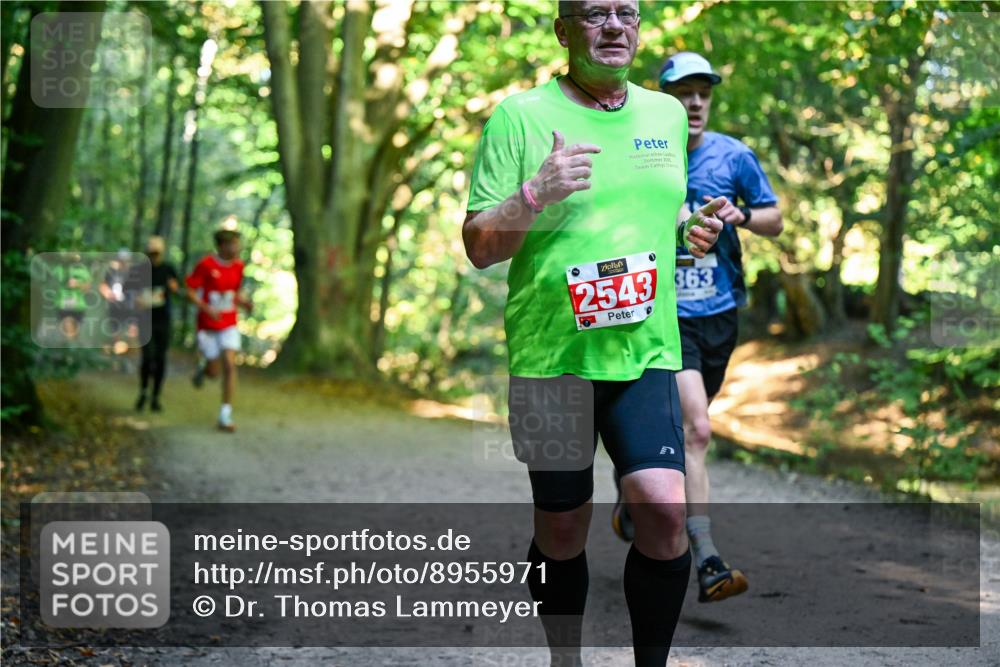 28.09.2025 - 33. Volkslauf durch das schöne Alstertal Dr. Thomas Lammeyer http://msf.ph/oto/8955971 28.09.2025 10:43:23 Laufen 2025, 2543, 363 meine-sportfotos.de