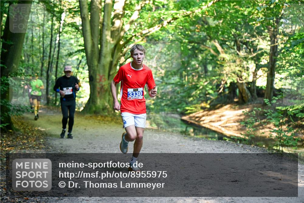 28.09.2025 - 33. Volkslauf durch das schöne Alstertal Dr. Thomas Lammeyer http://msf.ph/oto/8955975 28.09.2025 10:43:25 Laufen 3330 meine-sportfotos.de
