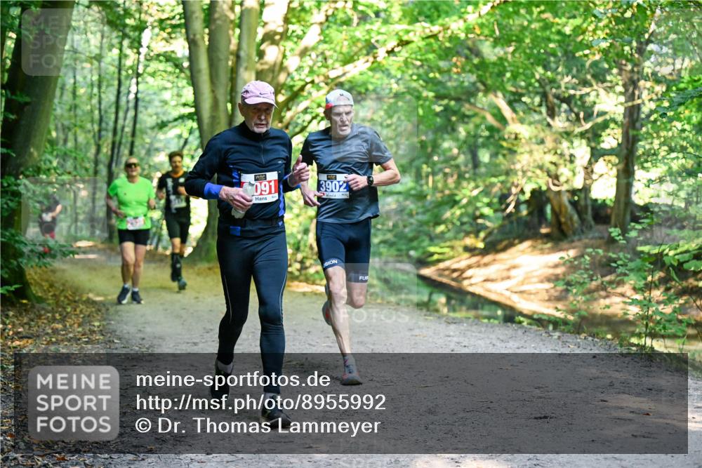 28.09.2025 - 33. Volkslauf durch das schöne Alstertal Dr. Thomas Lammeyer http://msf.ph/oto/8955992 28.09.2025 10:43:28 Laufen 091, 3902 meine-sportfotos.de
