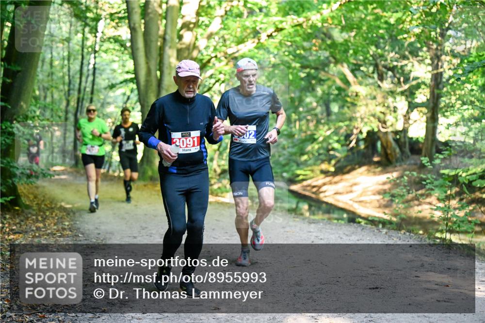 28.09.2025 - 33. Volkslauf durch das schöne Alstertal Dr. Thomas Lammeyer http://msf.ph/oto/8955993 28.09.2025 10:43:28 Laufen 3091, 02 meine-sportfotos.de