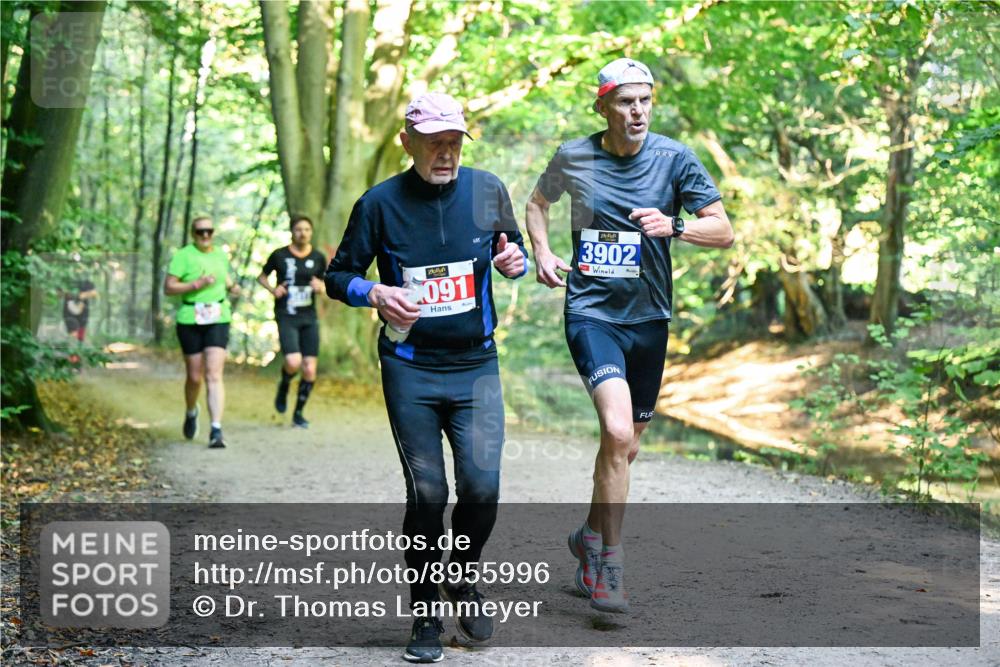 28.09.2025 - 33. Volkslauf durch das schöne Alstertal Dr. Thomas Lammeyer http://msf.ph/oto/8955996 28.09.2025 10:43:28 Laufen 091, 3902 meine-sportfotos.de