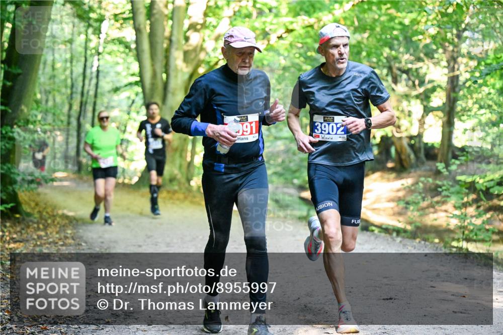 28.09.2025 - 33. Volkslauf durch das schöne Alstertal Dr. Thomas Lammeyer http://msf.ph/oto/8955997 28.09.2025 10:43:29 Laufen 91, 3902 meine-sportfotos.de