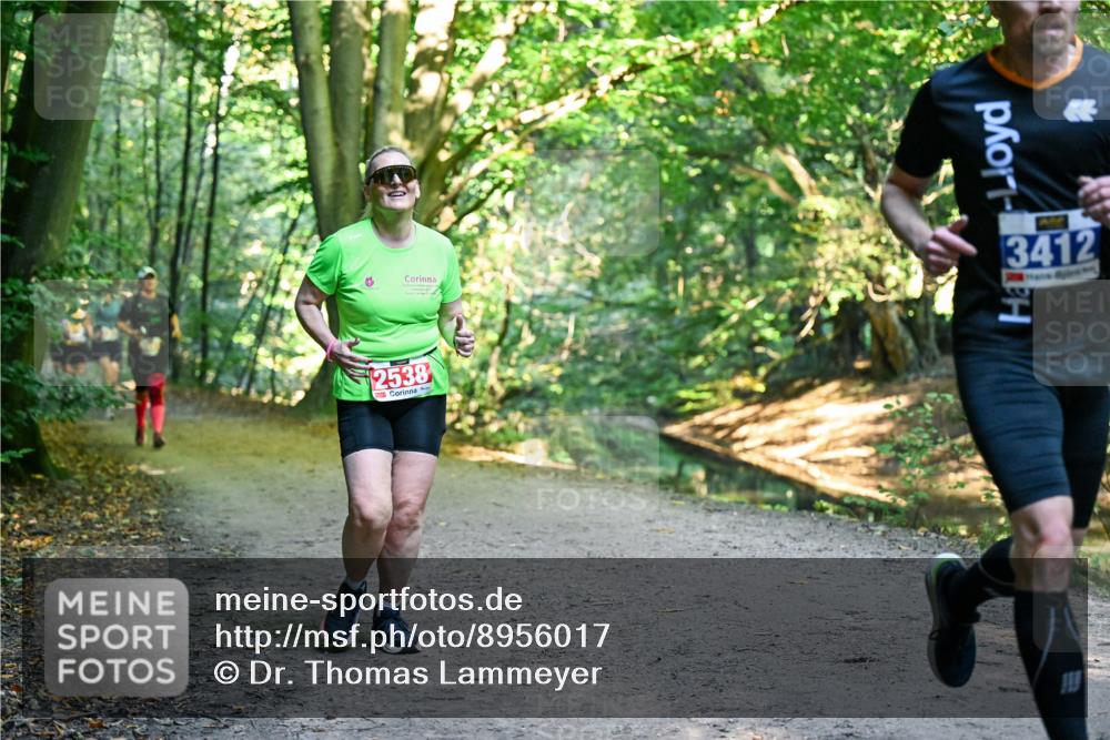 28.09.2025 - 33. Volkslauf durch das schöne Alstertal Dr. Thomas Lammeyer http://msf.ph/oto/8956017 28.09.2025 10:43:31 Laufen 3412 meine-sportfotos.de