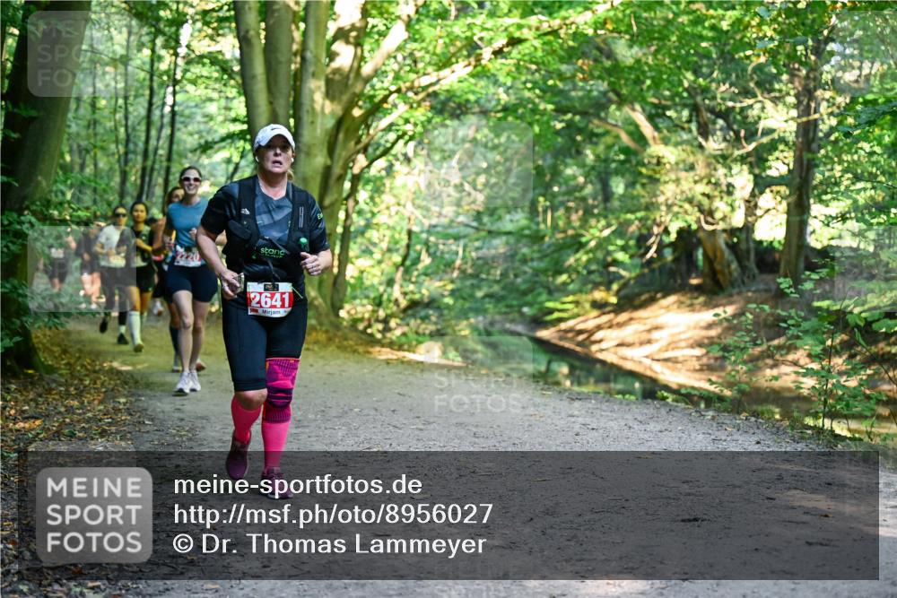 28.09.2025 - 33. Volkslauf durch das schöne Alstertal Dr. Thomas Lammeyer http://msf.ph/oto/8956027 28.09.2025 10:43:36 Laufen 2641 meine-sportfotos.de