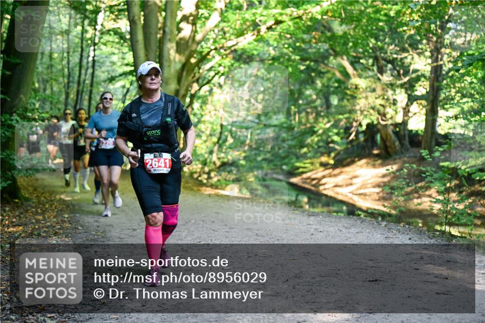 28.09.2025 - 33. Volkslauf durch das schöne Alstertal Dr. Thomas Lammeyer http://msf.ph/oto/8956029 28.09.2025 10:43:37 Laufen 2641 meine-sportfotos.de