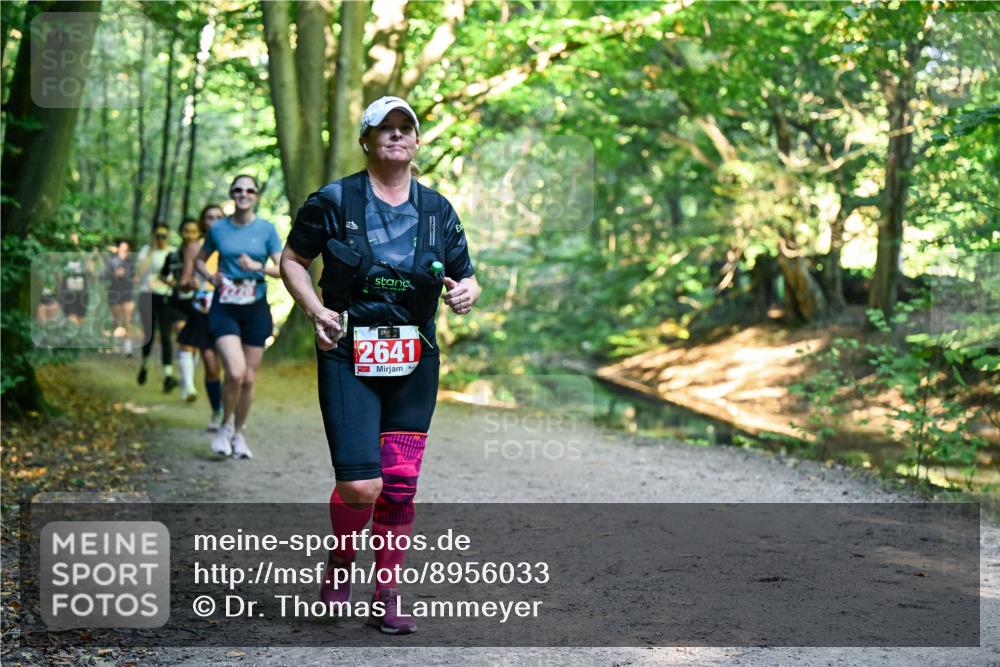 28.09.2025 - 33. Volkslauf durch das schöne Alstertal Dr. Thomas Lammeyer http://msf.ph/oto/8956033 28.09.2025 10:43:37 Laufen 2641 meine-sportfotos.de