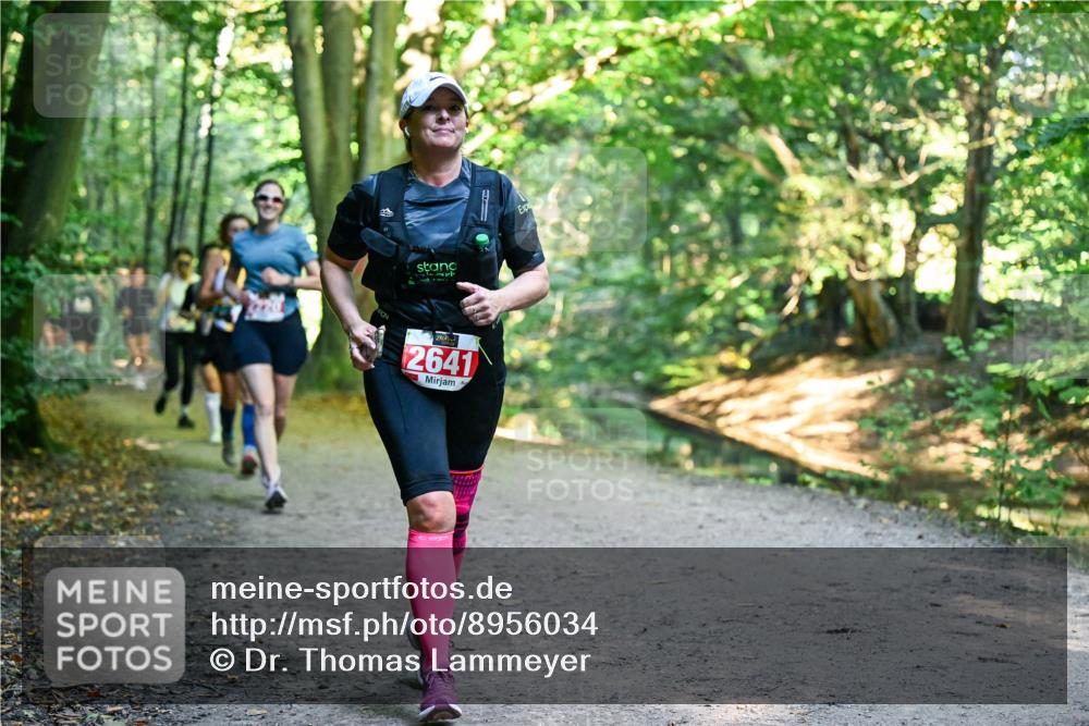28.09.2025 - 33. Volkslauf durch das schöne Alstertal Dr. Thomas Lammeyer http://msf.ph/oto/8956034 28.09.2025 10:43:37 Laufen 2641 meine-sportfotos.de