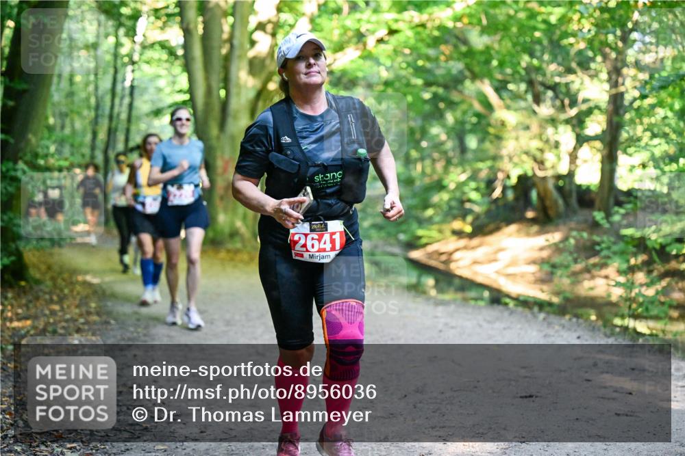 28.09.2025 - 33. Volkslauf durch das schöne Alstertal Dr. Thomas Lammeyer http://msf.ph/oto/8956036 28.09.2025 10:43:37 Laufen 2641 meine-sportfotos.de