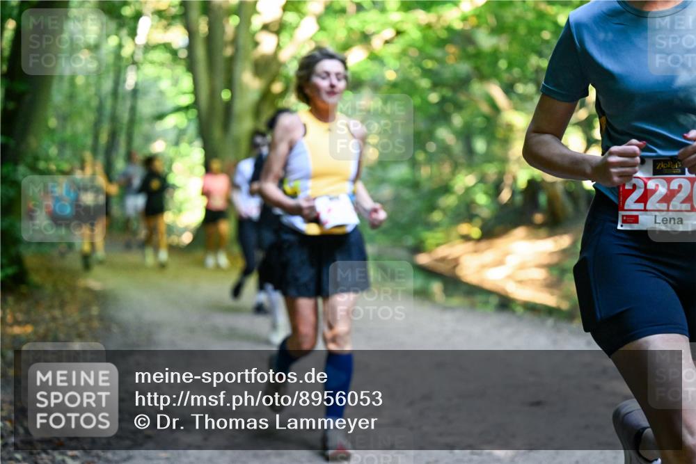 28.09.2025 - 33. Volkslauf durch das schöne Alstertal Dr. Thomas Lammeyer http://msf.ph/oto/8956053 28.09.2025 10:43:40 Laufen 2220 meine-sportfotos.de