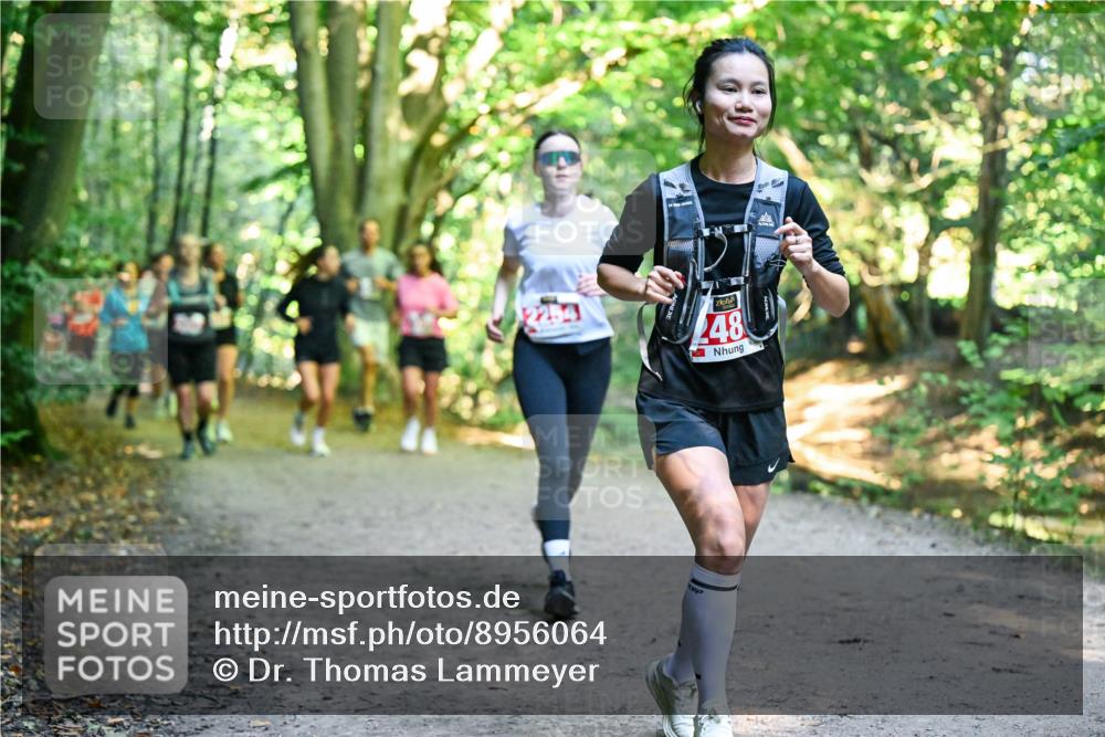 28.09.2025 - 33. Volkslauf durch das schöne Alstertal Dr. Thomas Lammeyer http://msf.ph/oto/8956064 28.09.2025 10:43:42 Laufen 2254, 248 meine-sportfotos.de