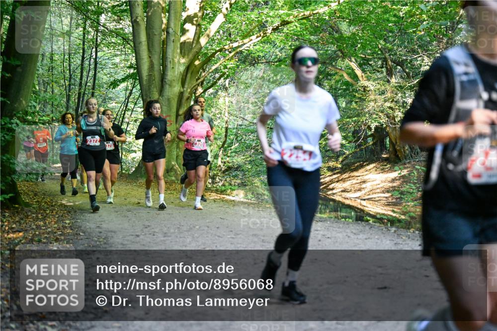 28.09.2025 - 33. Volkslauf durch das schöne Alstertal Dr. Thomas Lammeyer http://msf.ph/oto/8956068 28.09.2025 10:43:42 Laufen 2372 meine-sportfotos.de