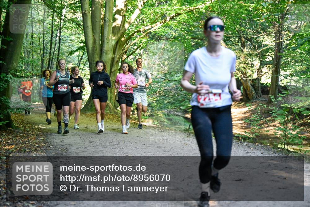28.09.2025 - 33. Volkslauf durch das schöne Alstertal Dr. Thomas Lammeyer http://msf.ph/oto/8956070 28.09.2025 10:43:43 Laufen 2372, 1037, 2378, 11, 2320 meine-sportfotos.de