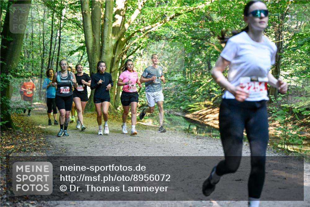 28.09.2025 - 33. Volkslauf durch das schöne Alstertal Dr. Thomas Lammeyer http://msf.ph/oto/8956072 28.09.2025 10:43:43 Laufen 1037, 2372, 2378, 2320, 254 meine-sportfotos.de