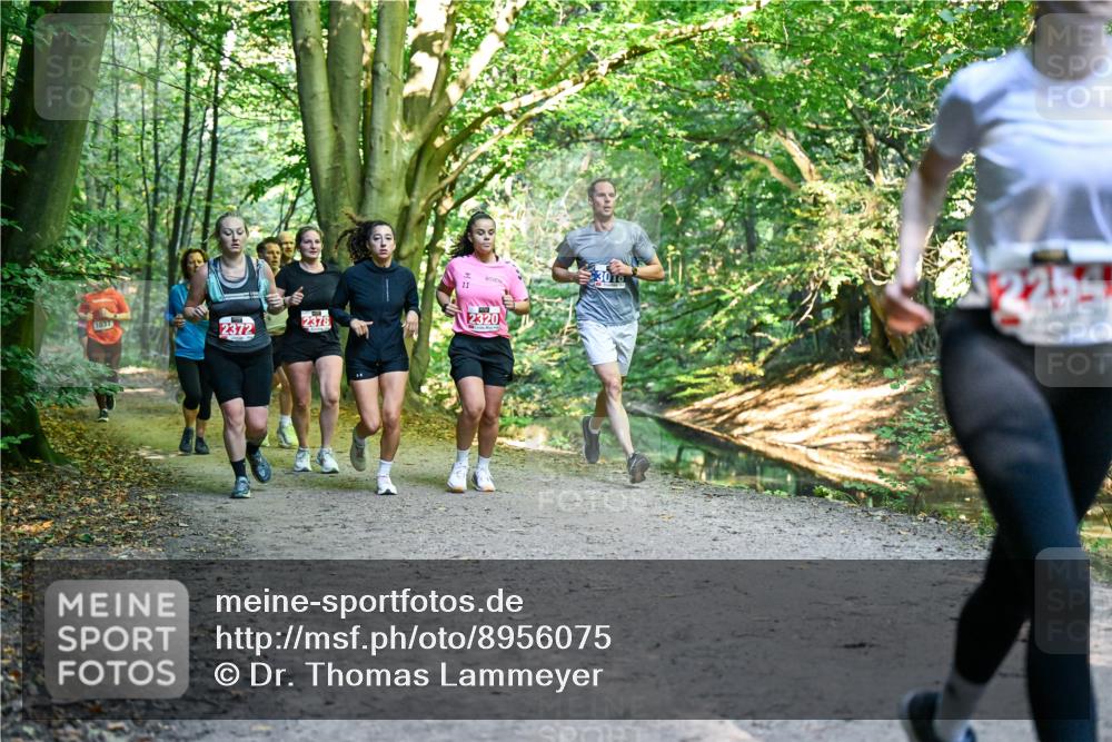 28.09.2025 - 33. Volkslauf durch das schöne Alstertal Dr. Thomas Lammeyer http://msf.ph/oto/8956075 28.09.2025 10:43:43 Laufen 1037, 2372, 2378, 11, 2320 meine-sportfotos.de