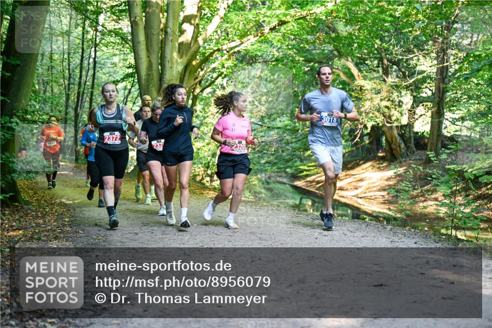 28.09.2025 - 33. Volkslauf durch das schöne Alstertal Dr. Thomas Lammeyer http://msf.ph/oto/8956079 28.09.2025 10:43:44 Laufen 1037, 2372, 237, 11, 2320, 3018 meine-sportfotos.de