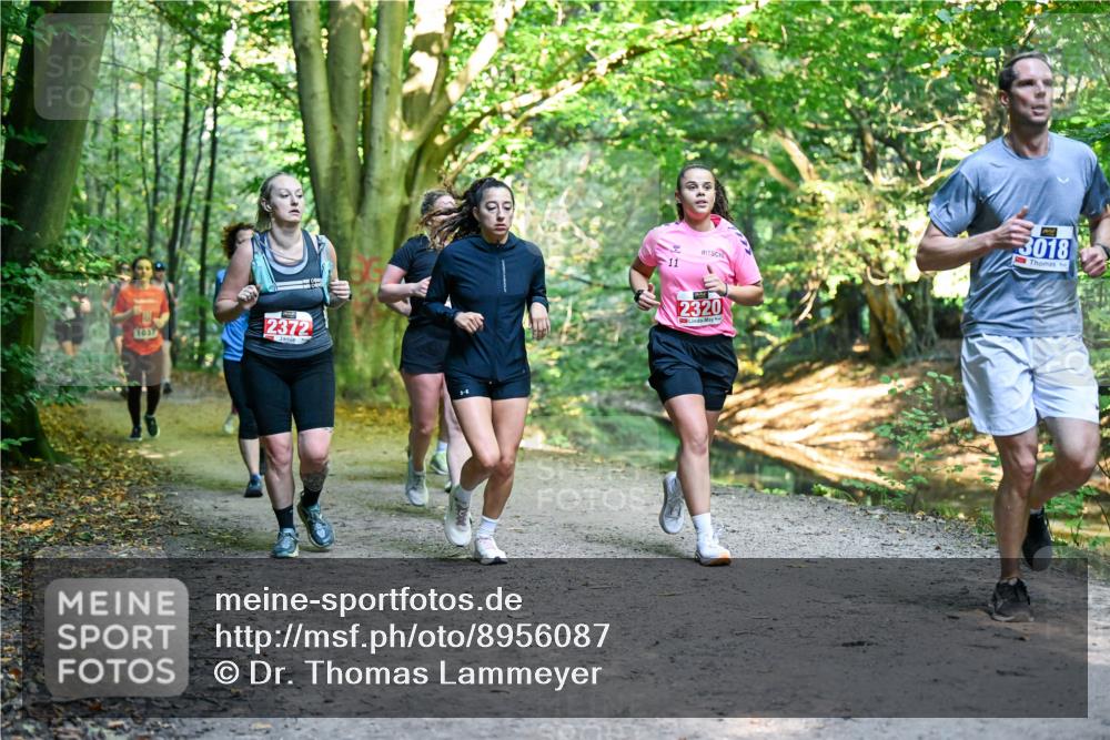 28.09.2025 - 33. Volkslauf durch das schöne Alstertal Dr. Thomas Lammeyer http://msf.ph/oto/8956087 28.09.2025 10:43:45 Laufen 2372, 1037, 3018, 2320 meine-sportfotos.de