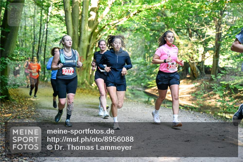 28.09.2025 - 33. Volkslauf durch das schöne Alstertal Dr. Thomas Lammeyer http://msf.ph/oto/8956088 28.09.2025 10:43:45 Laufen 1859, 2372, 11, 2320 meine-sportfotos.de