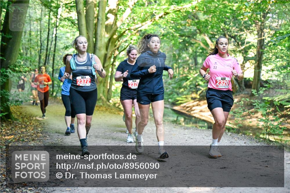 28.09.2025 - 33. Volkslauf durch das schöne Alstertal Dr. Thomas Lammeyer http://msf.ph/oto/8956090 28.09.2025 10:43:45 Laufen 2372, 2378, 11, 2320 meine-sportfotos.de