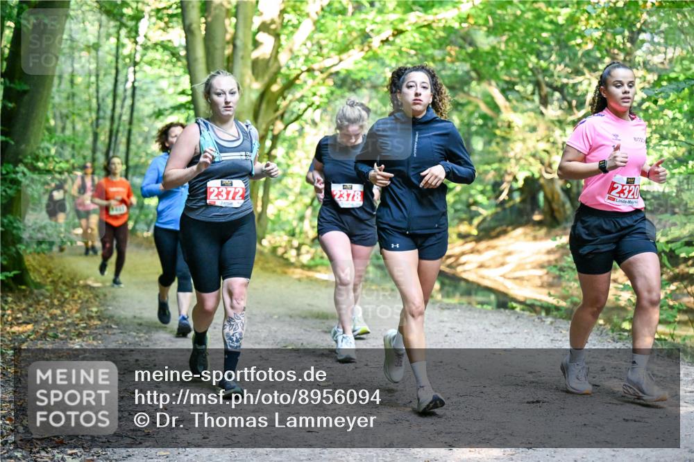 28.09.2025 - 33. Volkslauf durch das schöne Alstertal Dr. Thomas Lammeyer http://msf.ph/oto/8956094 28.09.2025 10:43:46 Laufen 2372, 2378, 12320 meine-sportfotos.de