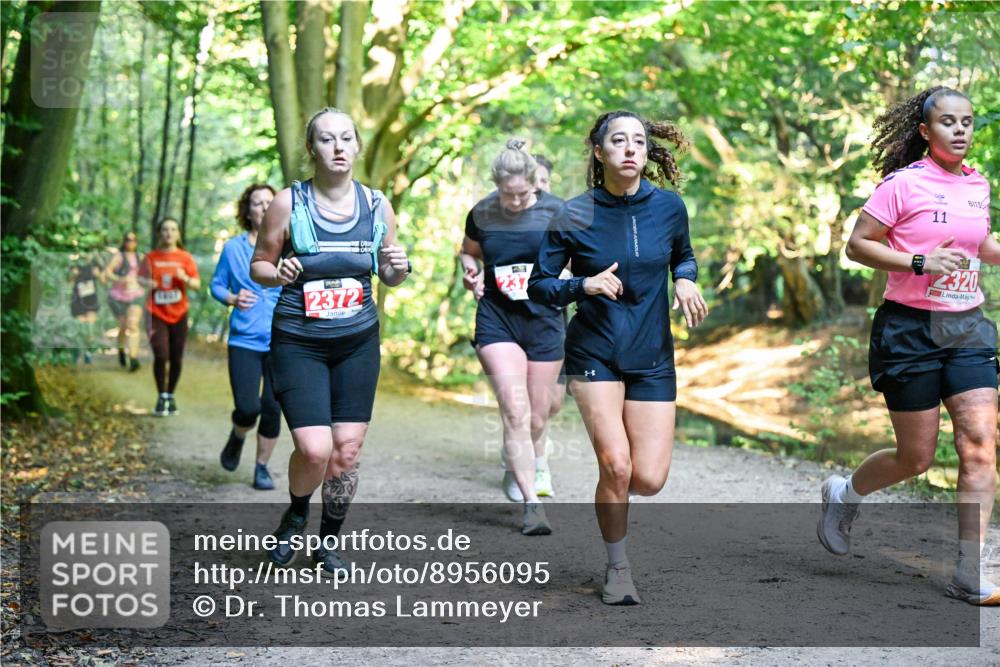 28.09.2025 - 33. Volkslauf durch das schöne Alstertal Dr. Thomas Lammeyer http://msf.ph/oto/8956095 28.09.2025 10:43:46 Laufen 2372, 237, 11, 2320 meine-sportfotos.de