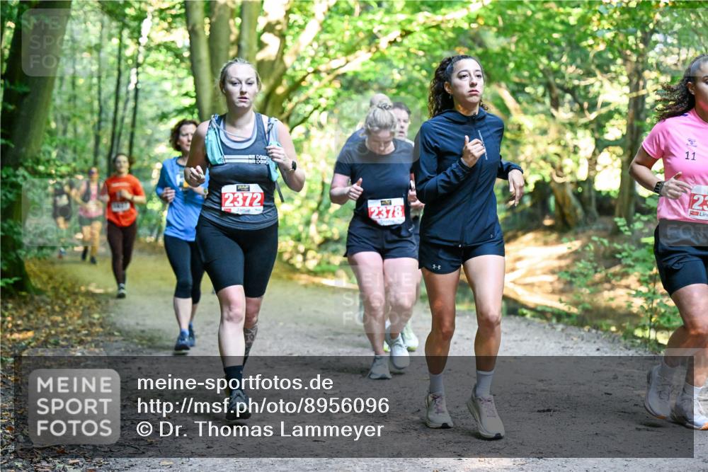 28.09.2025 - 33. Volkslauf durch das schöne Alstertal Dr. Thomas Lammeyer http://msf.ph/oto/8956096 28.09.2025 10:43:46 Laufen 2378 meine-sportfotos.de