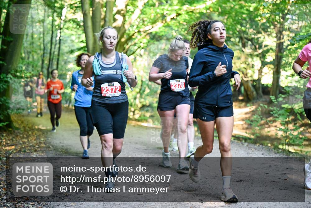 28.09.2025 - 33. Volkslauf durch das schöne Alstertal Dr. Thomas Lammeyer http://msf.ph/oto/8956097 28.09.2025 10:43:46 Laufen 2372, 2378 meine-sportfotos.de