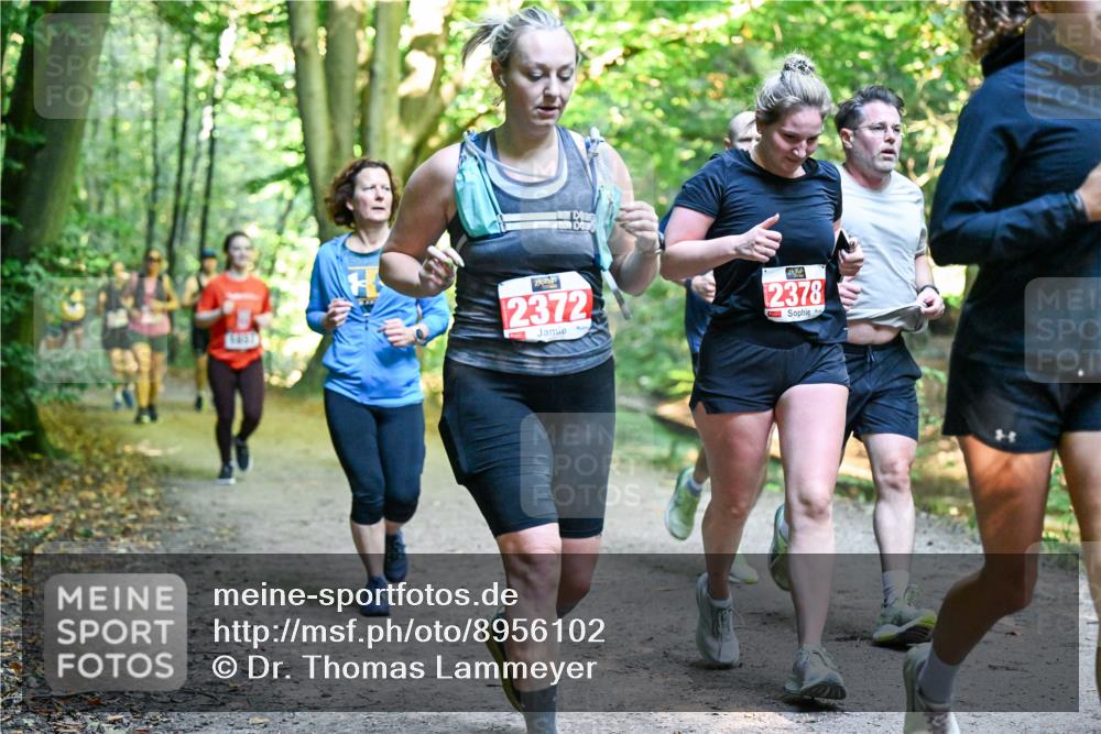 28.09.2025 - 33. Volkslauf durch das schöne Alstertal Dr. Thomas Lammeyer http://msf.ph/oto/8956102 28.09.2025 10:43:47 Laufen 1850, 2372, 2378 meine-sportfotos.de