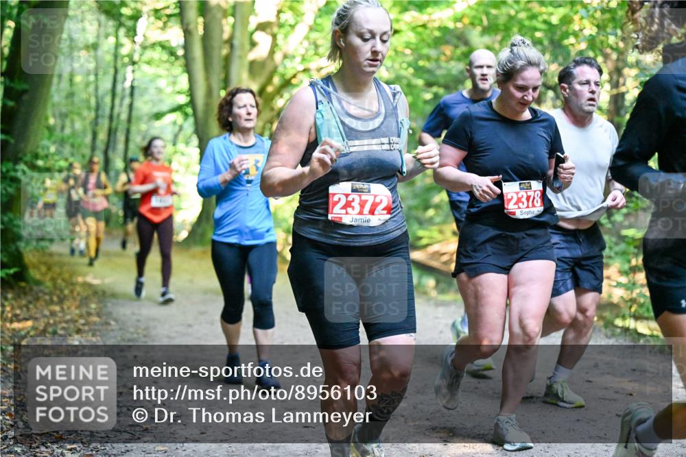 28.09.2025 - 33. Volkslauf durch das schöne Alstertal Dr. Thomas Lammeyer http://msf.ph/oto/8956103 28.09.2025 10:43:47 Laufen 2372, 2378 meine-sportfotos.de