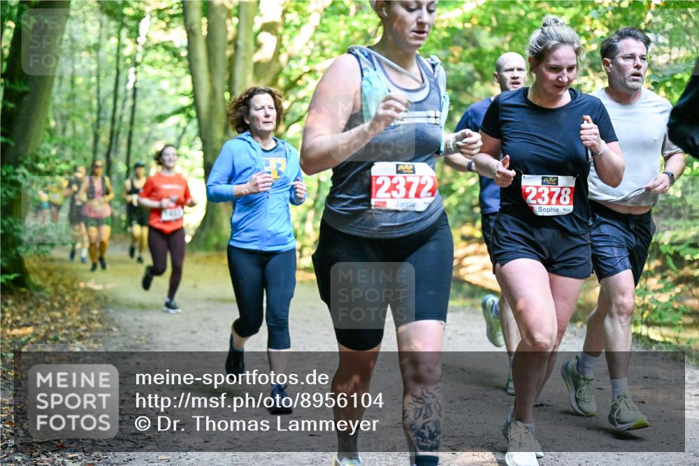 28.09.2025 - 33. Volkslauf durch das schöne Alstertal Dr. Thomas Lammeyer http://msf.ph/oto/8956104 28.09.2025 10:43:47 Laufen 2372, 2378 meine-sportfotos.de