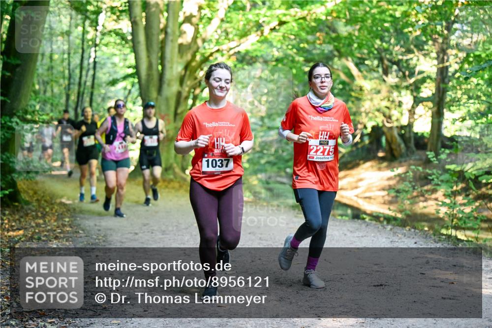28.09.2025 - 33. Volkslauf durch das schöne Alstertal Dr. Thomas Lammeyer http://msf.ph/oto/8956121 28.09.2025 10:43:50 Laufen 30, 1037, 2275 meine-sportfotos.de