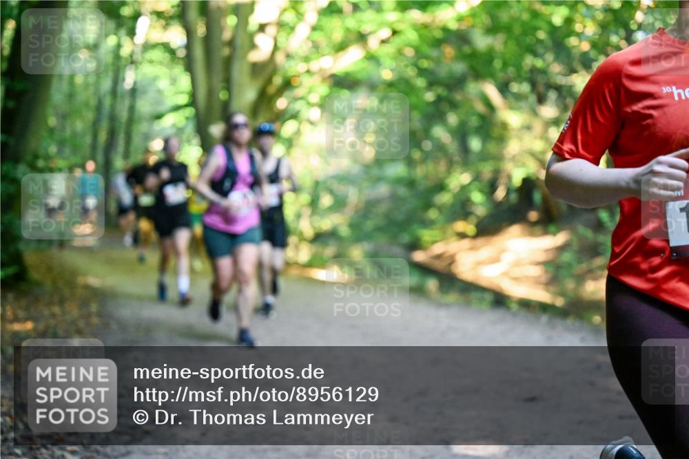 28.09.2025 - 33. Volkslauf durch das schöne Alstertal Dr. Thomas Lammeyer http://msf.ph/oto/8956129 28.09.2025 10:43:51 Laufen 40 meine-sportfotos.de