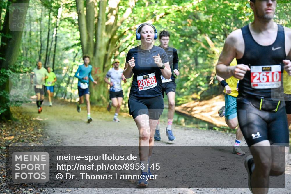 28.09.2025 - 33. Volkslauf durch das schöne Alstertal Dr. Thomas Lammeyer http://msf.ph/oto/8956145 28.09.2025 10:43:54 Laufen 2036, 2610 meine-sportfotos.de