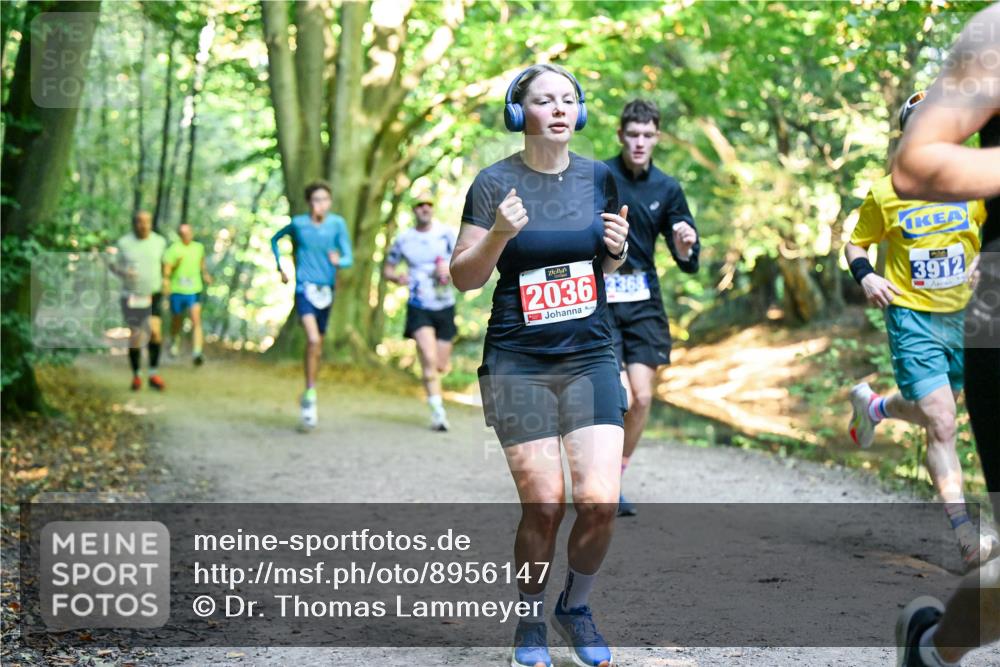 28.09.2025 - 33. Volkslauf durch das schöne Alstertal Dr. Thomas Lammeyer http://msf.ph/oto/8956147 28.09.2025 10:43:54 Laufen 2036, 36, 3912 meine-sportfotos.de