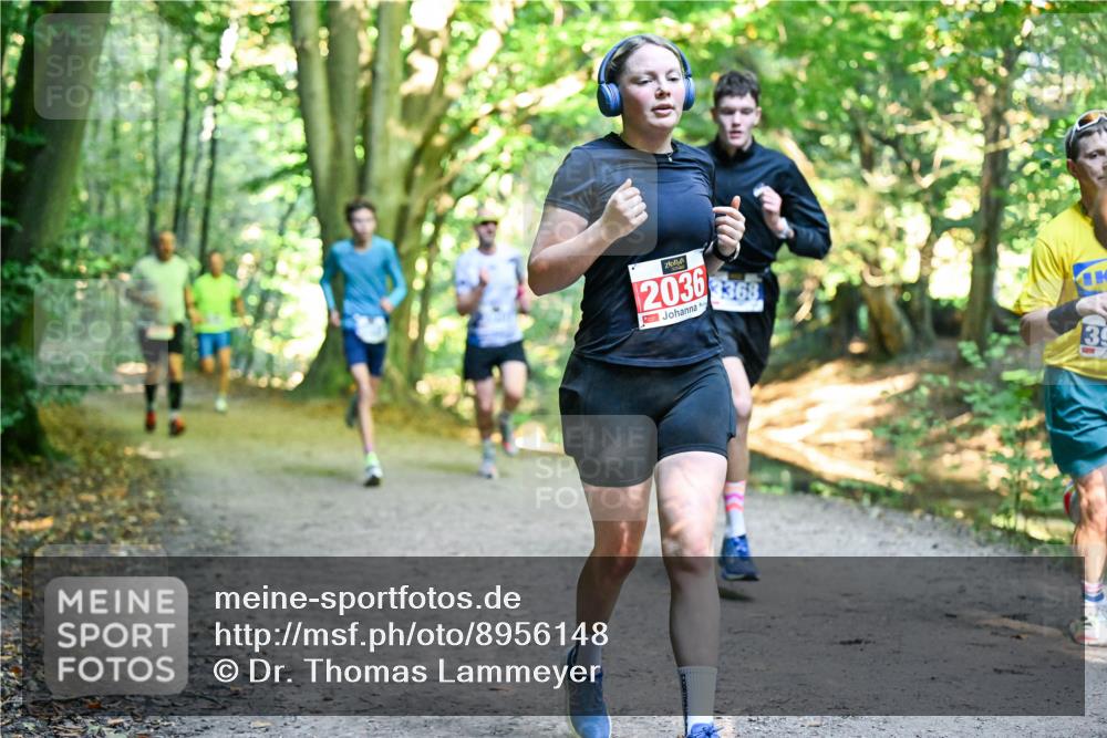 28.09.2025 - 33. Volkslauf durch das schöne Alstertal Dr. Thomas Lammeyer http://msf.ph/oto/8956148 28.09.2025 10:43:54 Laufen 2036, 3368, 39 meine-sportfotos.de