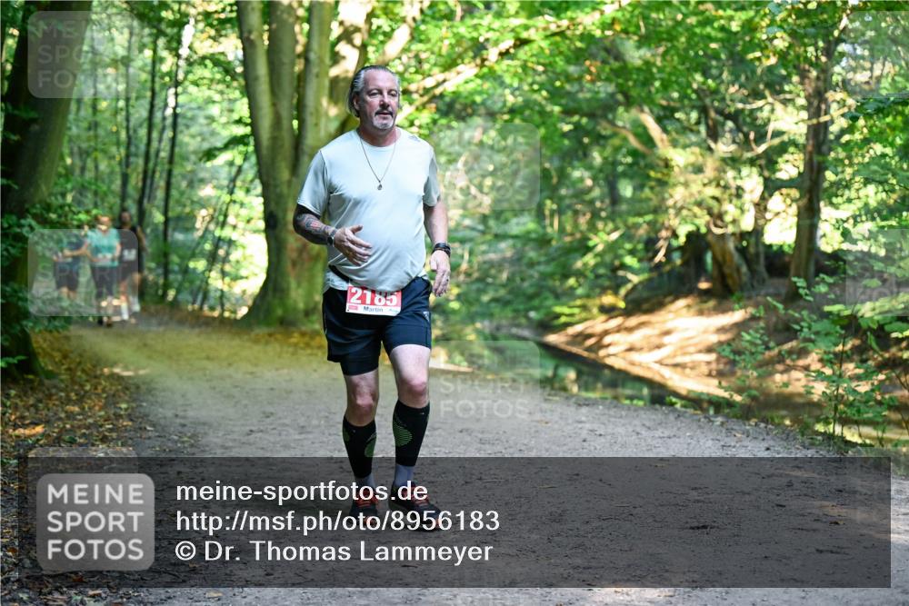 28.09.2025 - 33. Volkslauf durch das schöne Alstertal Dr. Thomas Lammeyer http://msf.ph/oto/8956183 28.09.2025 10:44:00 Laufen 2185 meine-sportfotos.de