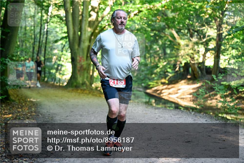 28.09.2025 - 33. Volkslauf durch das schöne Alstertal Dr. Thomas Lammeyer http://msf.ph/oto/8956187 28.09.2025 10:44:00 Laufen 2185 meine-sportfotos.de