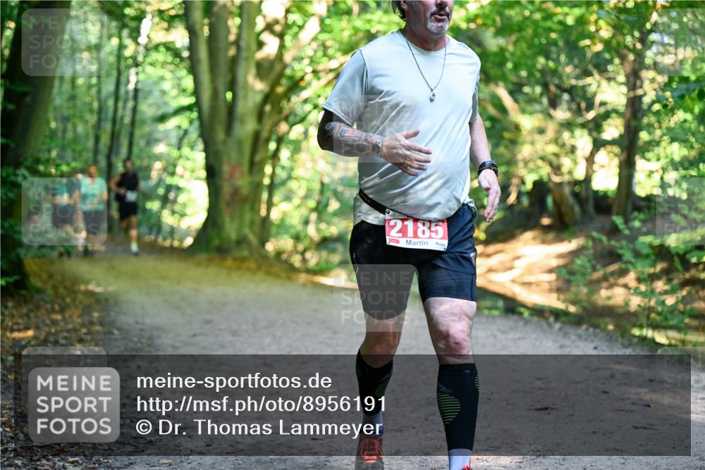 28.09.2025 - 33. Volkslauf durch das schöne Alstertal Dr. Thomas Lammeyer http://msf.ph/oto/8956191 28.09.2025 10:44:01 Laufen 2185 meine-sportfotos.de