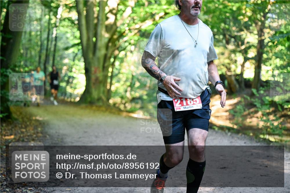 28.09.2025 - 33. Volkslauf durch das schöne Alstertal Dr. Thomas Lammeyer http://msf.ph/oto/8956192 28.09.2025 10:44:01 Laufen 2165 meine-sportfotos.de