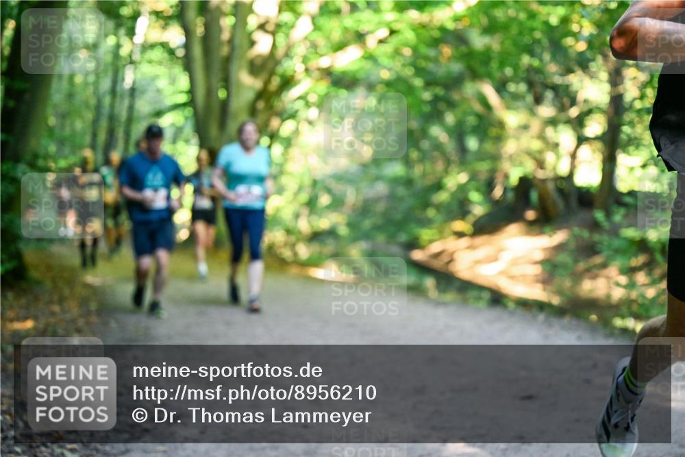 28.09.2025 - 33. Volkslauf durch das schöne Alstertal Dr. Thomas Lammeyer http://msf.ph/oto/8956210 28.09.2025 10:44:07 Laufen  meine-sportfotos.de