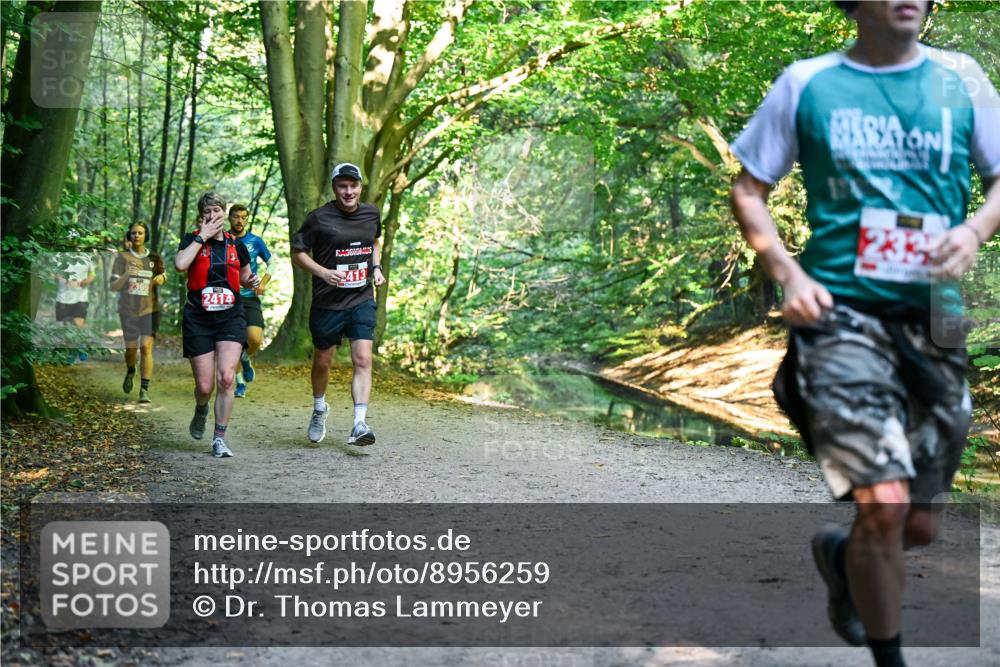28.09.2025 - 33. Volkslauf durch das schöne Alstertal Dr. Thomas Lammeyer http://msf.ph/oto/8956259 28.09.2025 10:44:14 Laufen 2369, 2414, 413, 233 meine-sportfotos.de