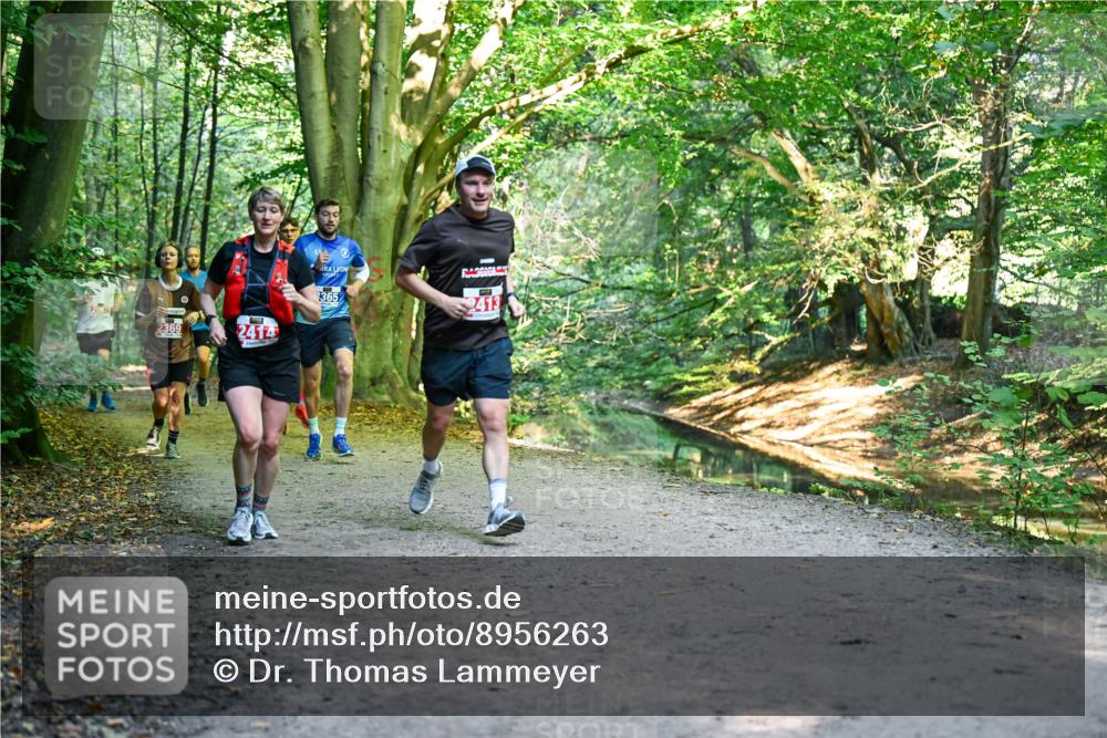 28.09.2025 - 33. Volkslauf durch das schöne Alstertal Dr. Thomas Lammeyer http://msf.ph/oto/8956263 28.09.2025 10:44:15 Laufen 2369, 2414, 365, 2, 2413 meine-sportfotos.de