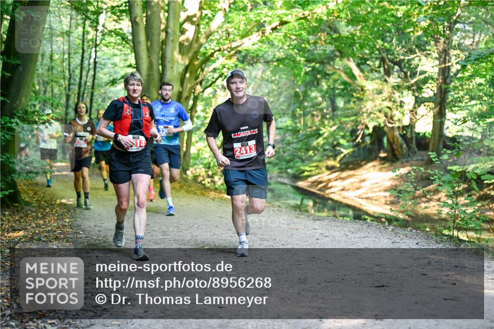 28.09.2025 - 33. Volkslauf durch das schöne Alstertal Dr. Thomas Lammeyer http://msf.ph/oto/8956268 28.09.2025 10:44:15 Laufen 236, 14, 2413 meine-sportfotos.de