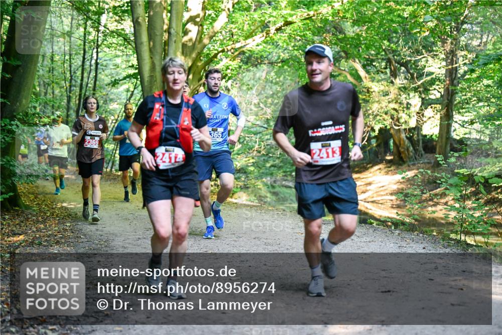 28.09.2025 - 33. Volkslauf durch das schöne Alstertal Dr. Thomas Lammeyer http://msf.ph/oto/8956274 28.09.2025 10:44:16 Laufen 2369, 2414, 365, 2413 meine-sportfotos.de
