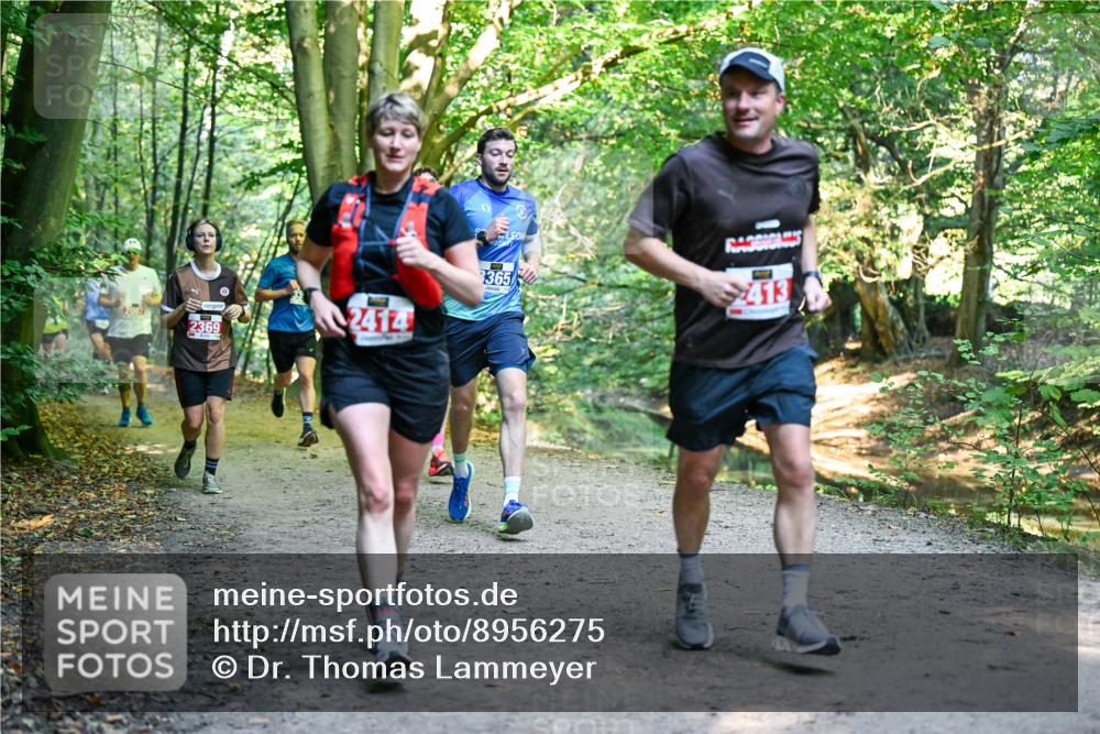 28.09.2025 - 33. Volkslauf durch das schöne Alstertal Dr. Thomas Lammeyer http://msf.ph/oto/8956275 28.09.2025 10:44:16 Laufen 2369, 2414, 365, 413 meine-sportfotos.de