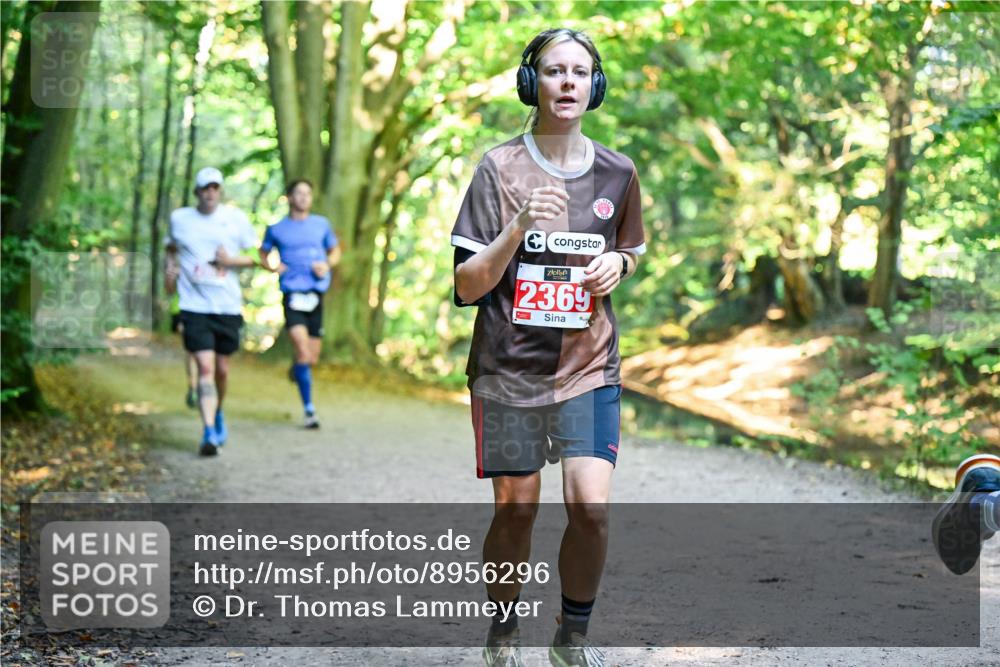 28.09.2025 - 33. Volkslauf durch das schöne Alstertal Dr. Thomas Lammeyer http://msf.ph/oto/8956296 28.09.2025 10:44:20 Laufen 2369 meine-sportfotos.de