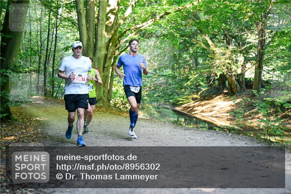 28.09.2025 - 33. Volkslauf durch das schöne Alstertal Dr. Thomas Lammeyer http://msf.ph/oto/8956302 28.09.2025 10:44:21 Laufen 2067, 3019, 62 meine-sportfotos.de