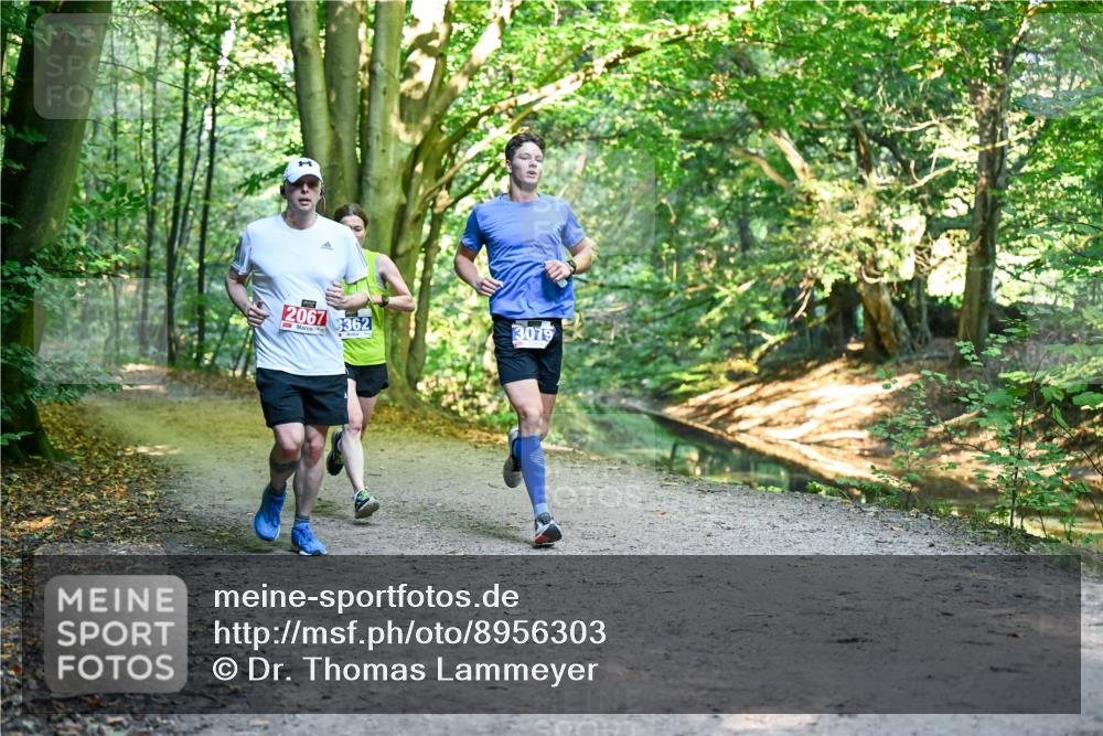28.09.2025 - 33. Volkslauf durch das schöne Alstertal Dr. Thomas Lammeyer http://msf.ph/oto/8956303 28.09.2025 10:44:21 Laufen 2067, 362, 3079 meine-sportfotos.de