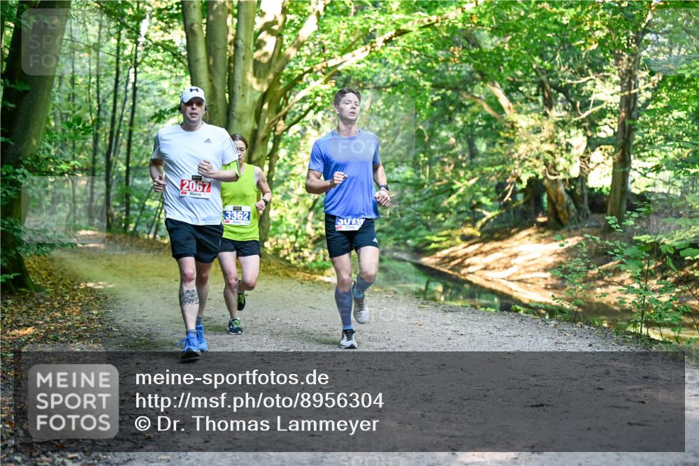 28.09.2025 - 33. Volkslauf durch das schöne Alstertal Dr. Thomas Lammeyer http://msf.ph/oto/8956304 28.09.2025 10:44:21 Laufen 2067, 3362, 3079 meine-sportfotos.de