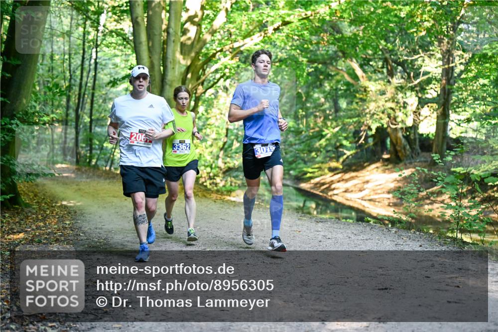 28.09.2025 - 33. Volkslauf durch das schöne Alstertal Dr. Thomas Lammeyer http://msf.ph/oto/8956305 28.09.2025 10:44:21 Laufen 206, 3362, 3079 meine-sportfotos.de